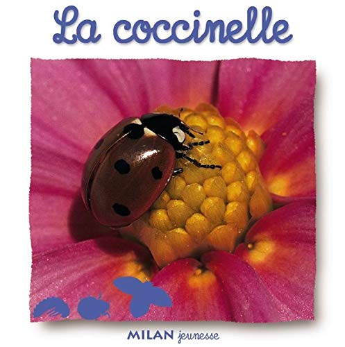 A Quatre Pattes: LA Coccinelle Essays & Short Stories