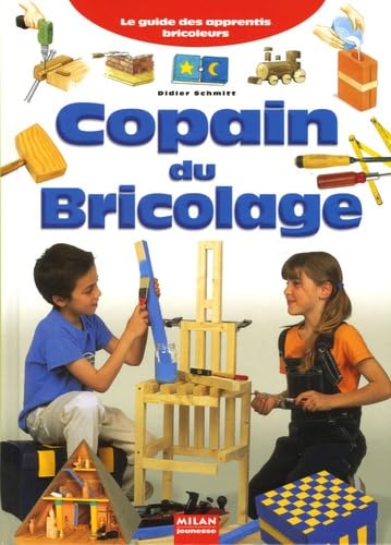 Copain du bricolage: Le guide des apprentis bricoleurs book