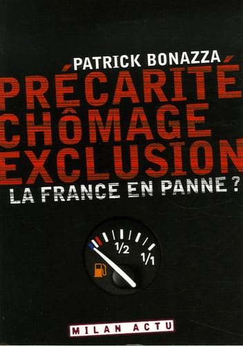Précarité, chômage, exclusion : La France en panne ? Books