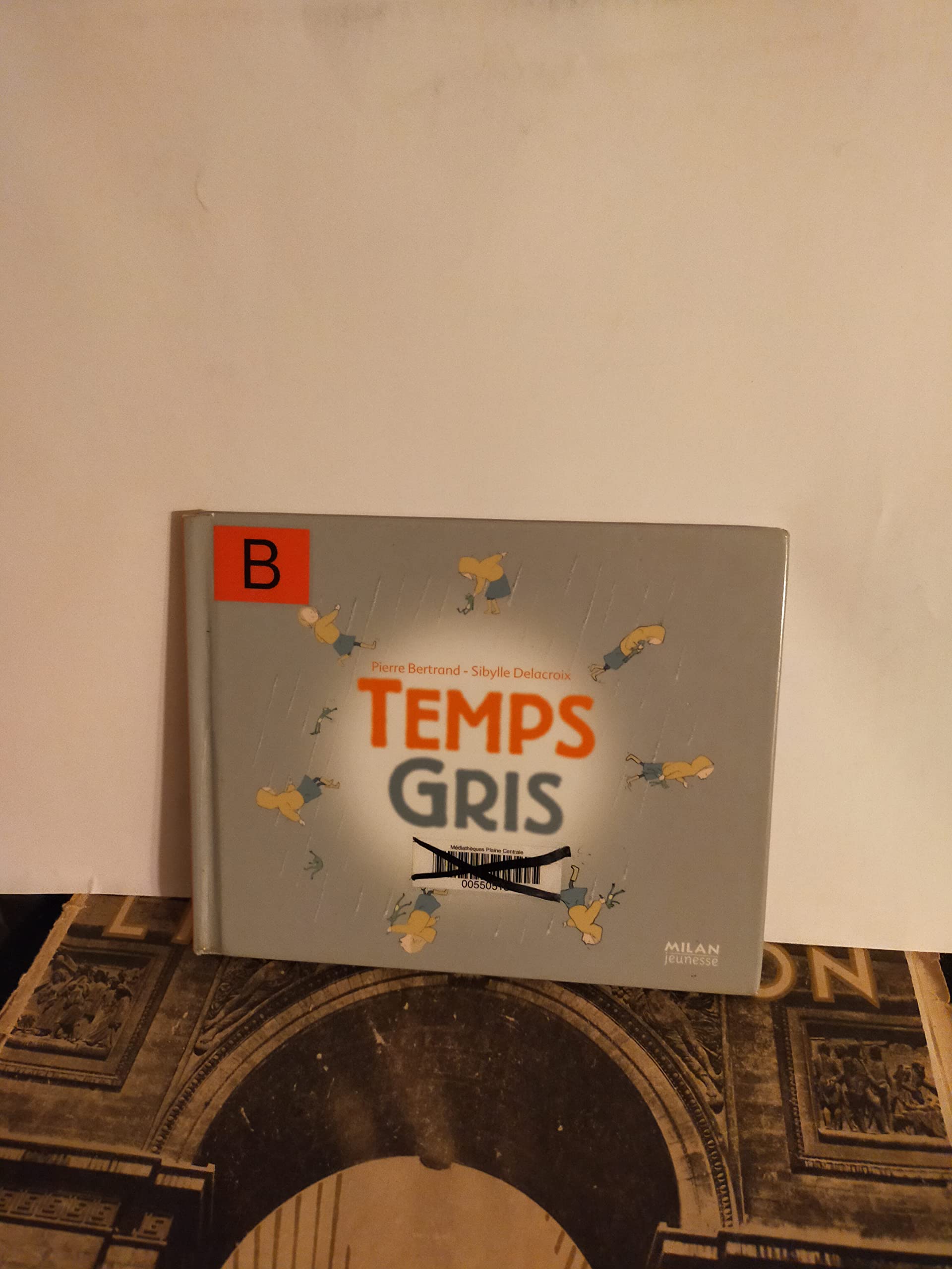 Temps gris book