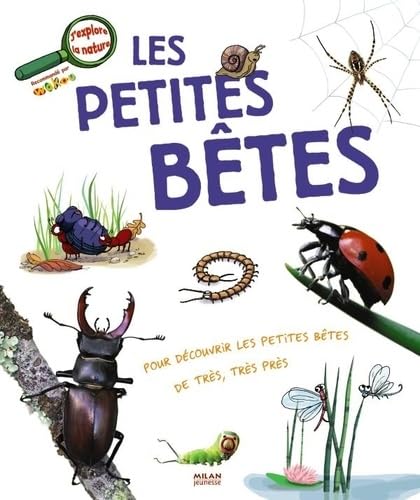 Les petites bêtes book