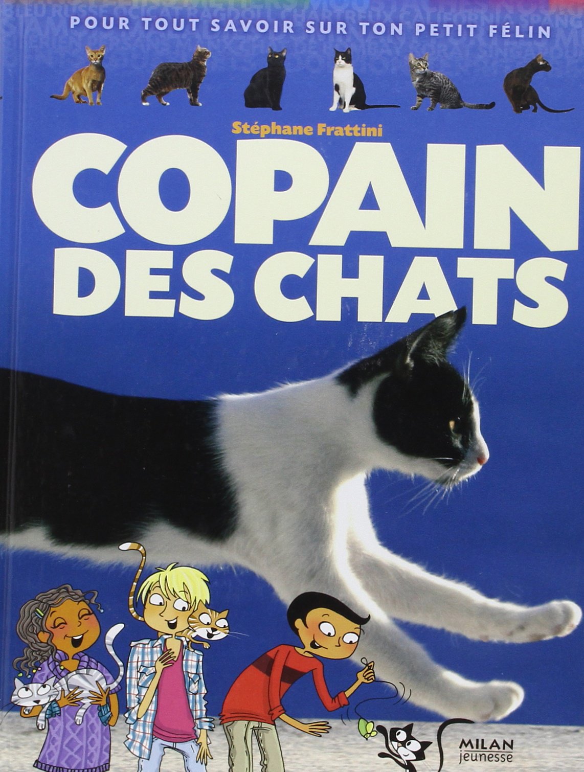 Copain des chats: Pour tout savoir sur ton petit félin Books