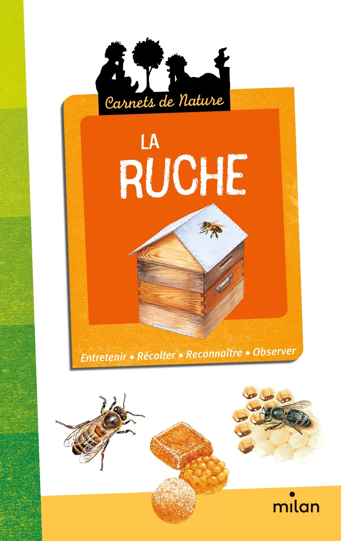 La ruche: De Léon Rogez, illutré par Benoît Charles book