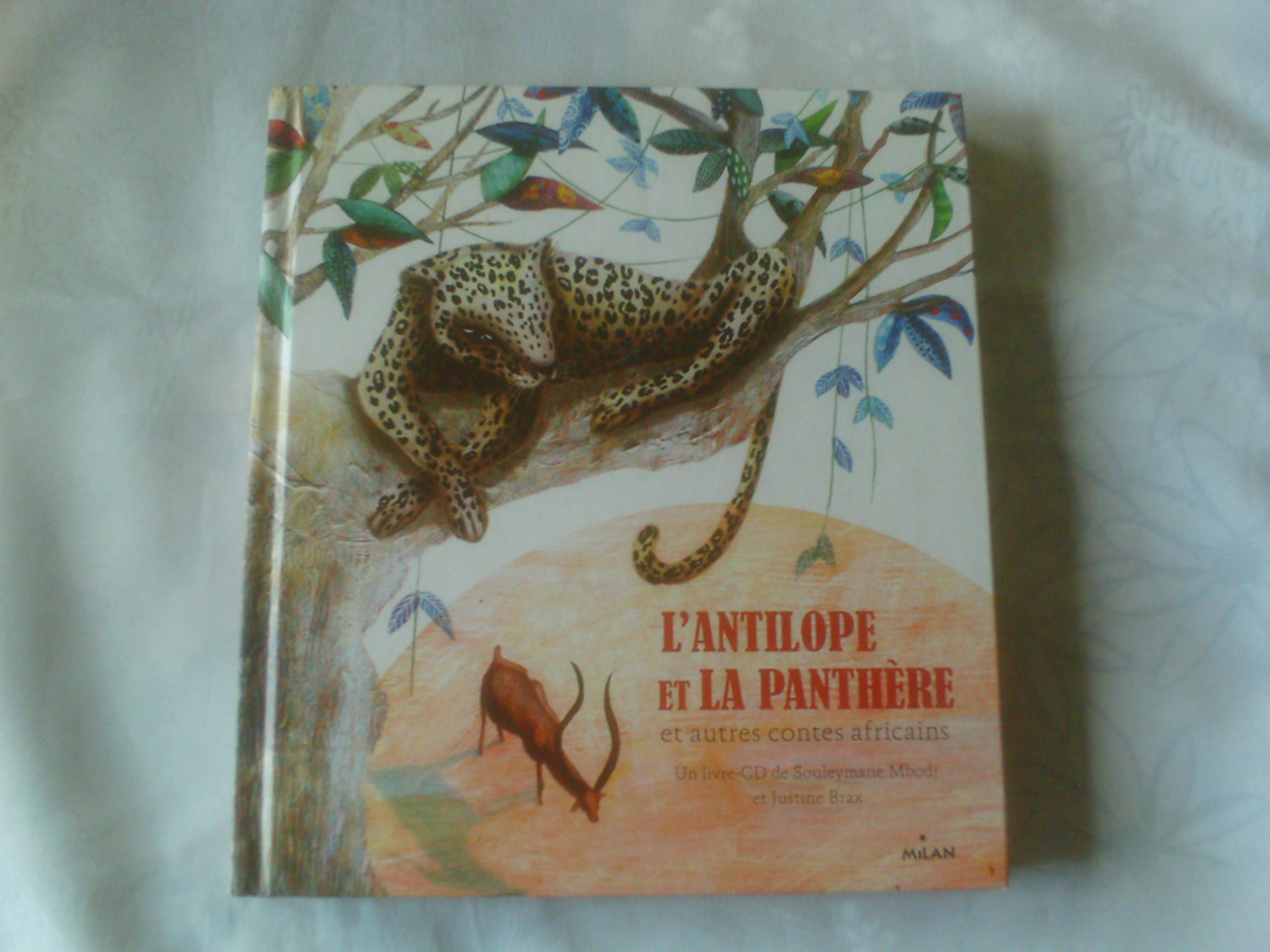 L'antilope et la panthère et autres contes africains + CD Non-fiction