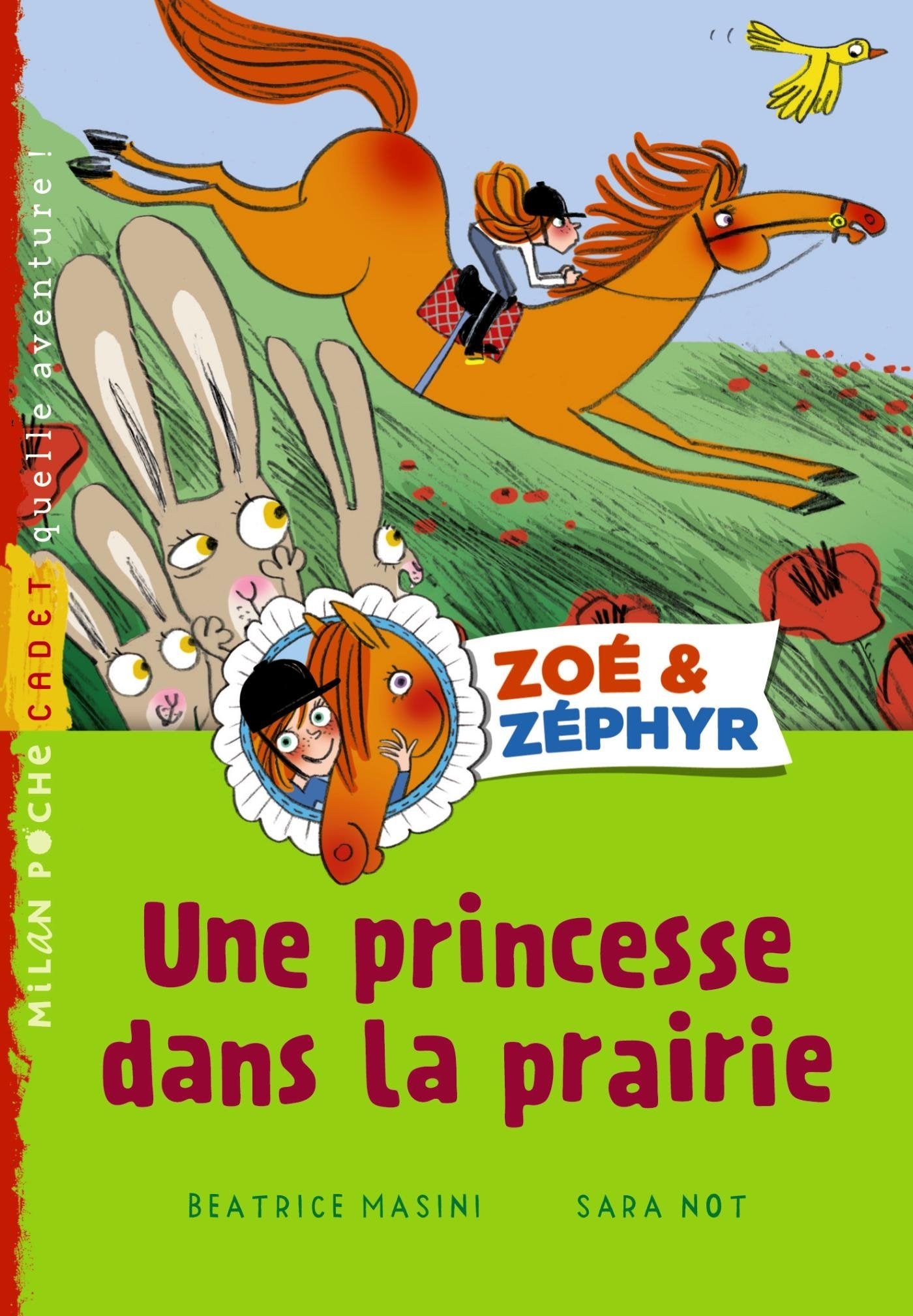 Zoé & Zéphyr : Princesse dans la prairie book