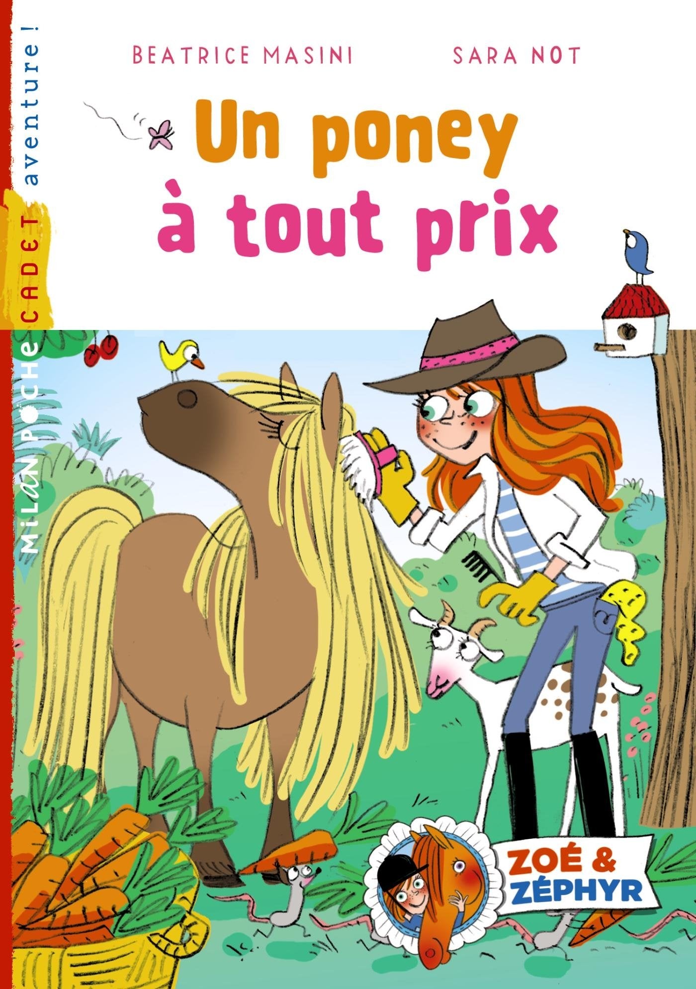 Zoé et Zéphyr, Tome 05: Un poney à tout prix book