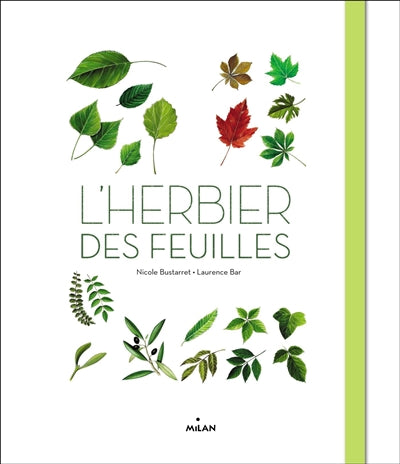 Product Image: L'herbier des feuilles