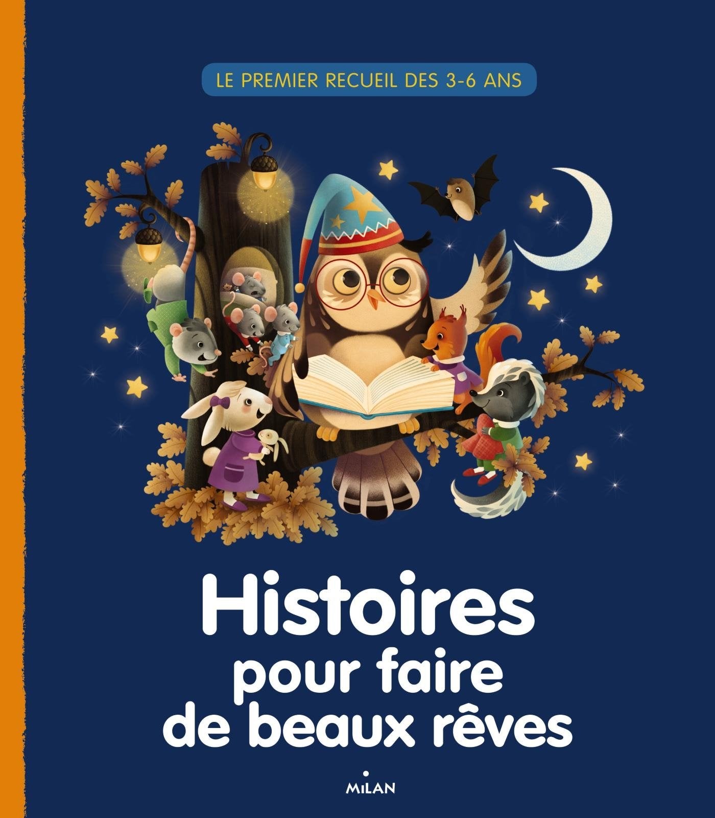 Histoires pour faire de beaux rêves book