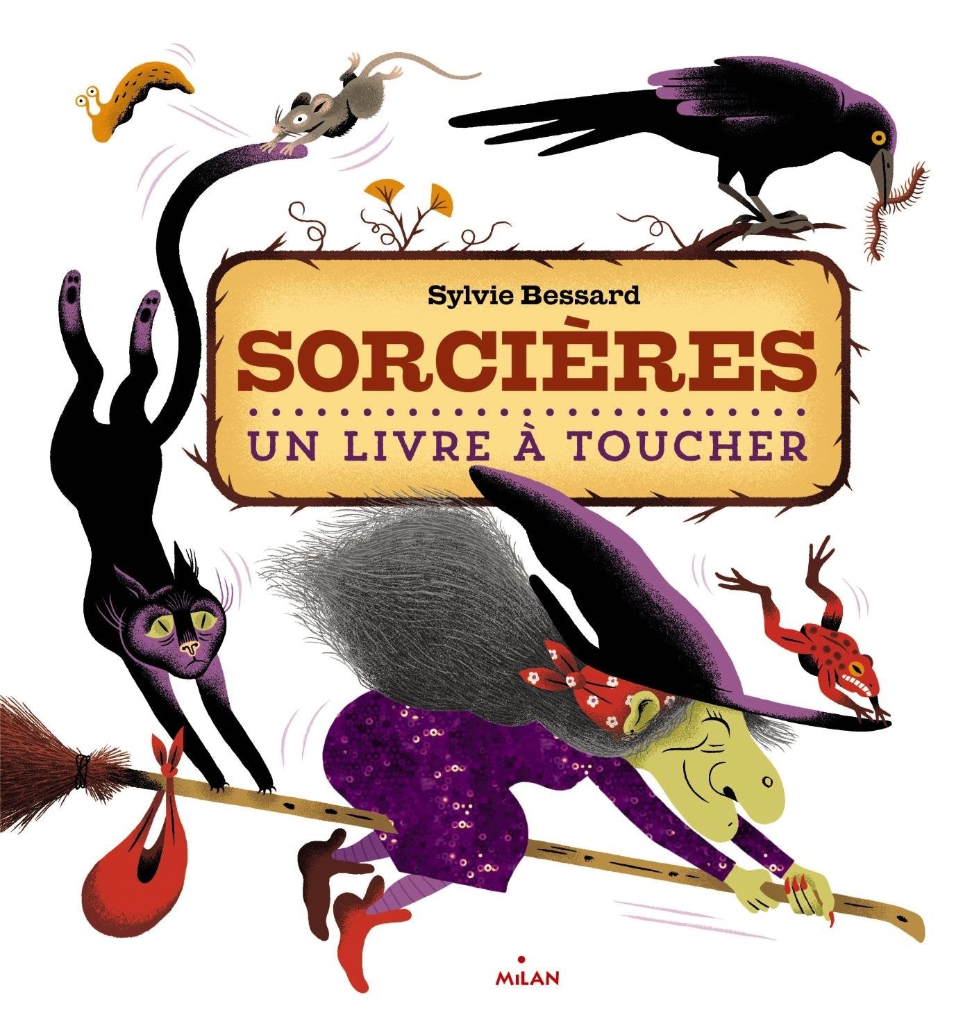 Sorcières: Un livre à toucher book
