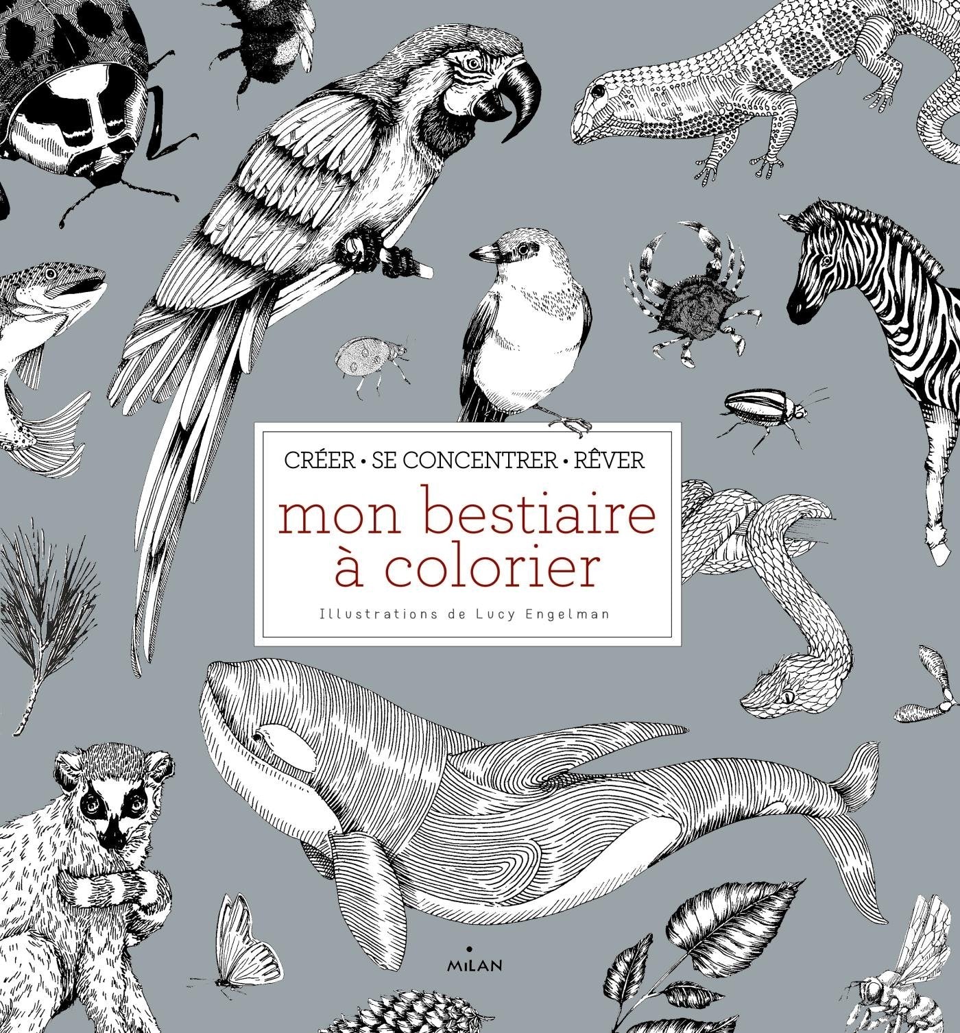 Mon bestiaire à colorier: Créer, se concentrer, rêver book