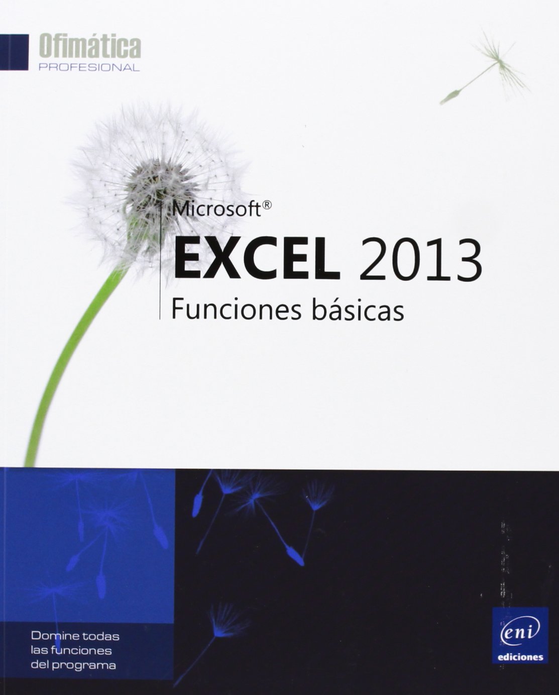 EXCEL 2013. FUNCIONES BASICAS Books