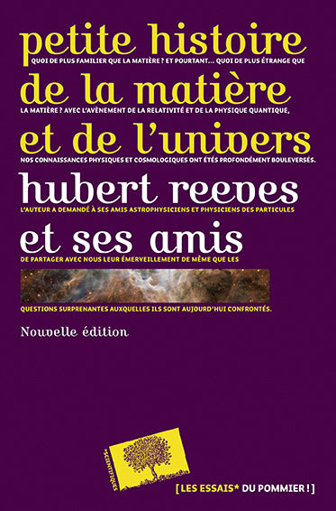 Petite histoire de la matière et de l'Univers Essays & Short Stories