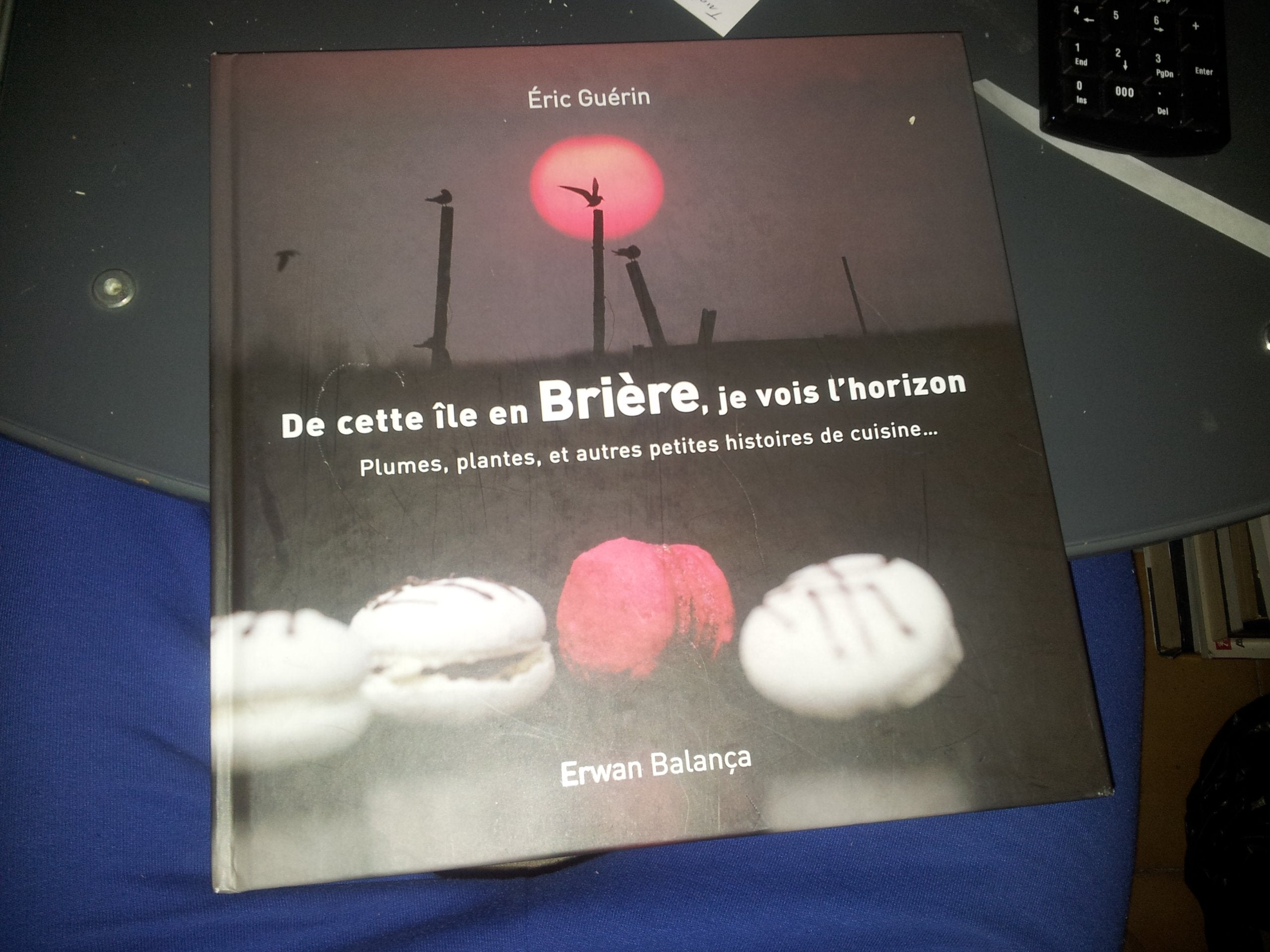 De cette île en Briére, je vois l'horizon, Plumes,plantes,et autres petites histoires de cuisine... Books