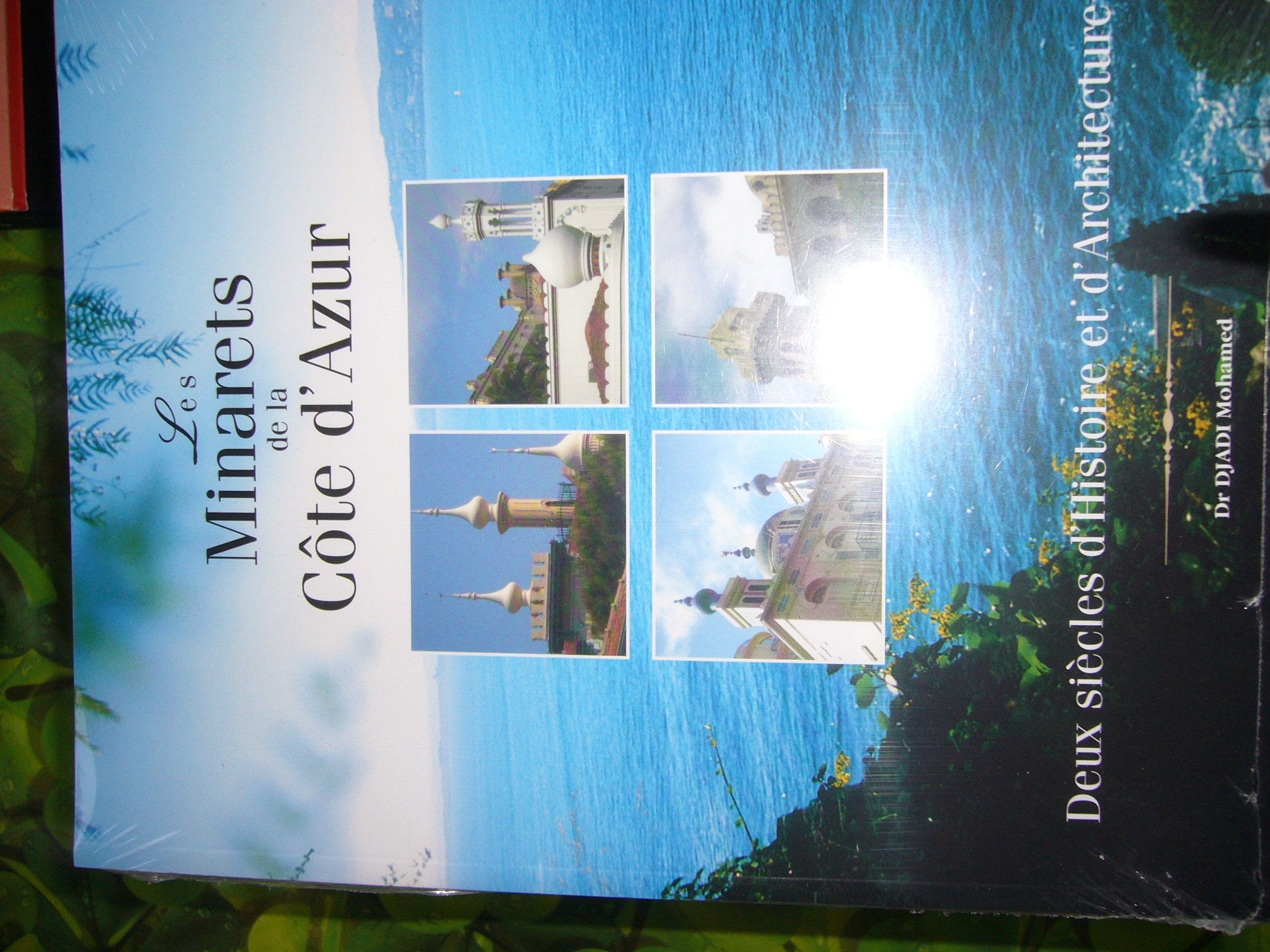 LES MINARETS DE LA COTE D AZUR DEUX SIECLES D HISTOIRE ET D ARCHITECTURE cd