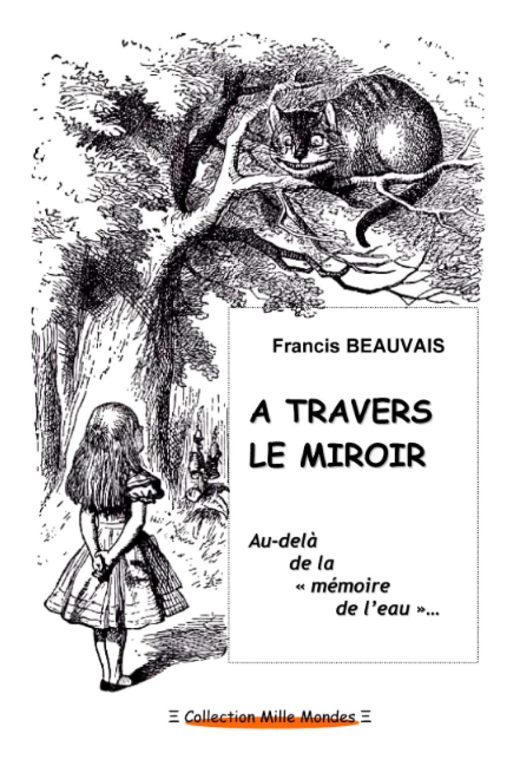 A travers le miroir - Au delà de la "mémoire de l'eau" Business & Technology