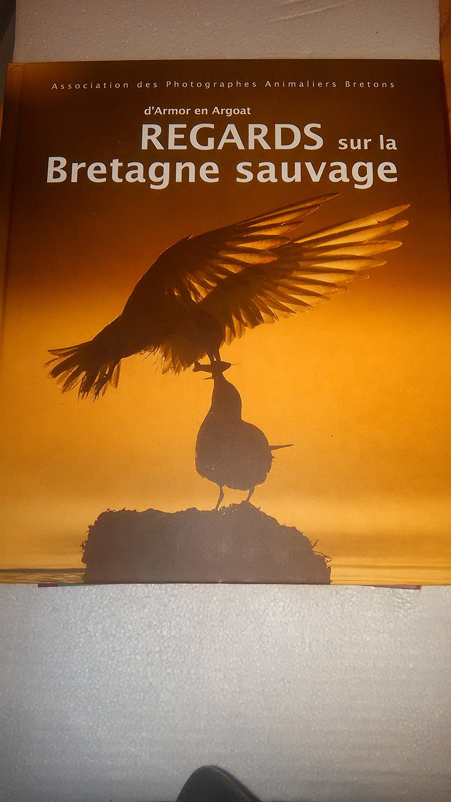 regards sur la bretagne sauvage book