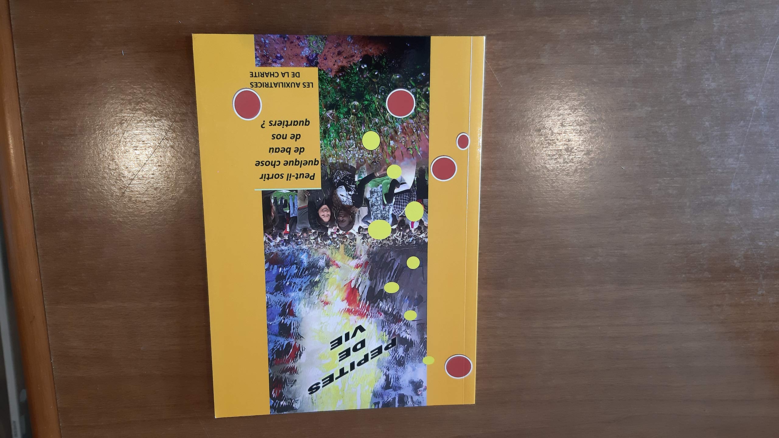 PEPITES DE VIE... : Peut-il sortir quelque chose de beau de nos quartiers ? book