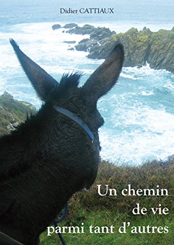 UN CHEMIN DE VIE PARMI TANT D'AUTRES book