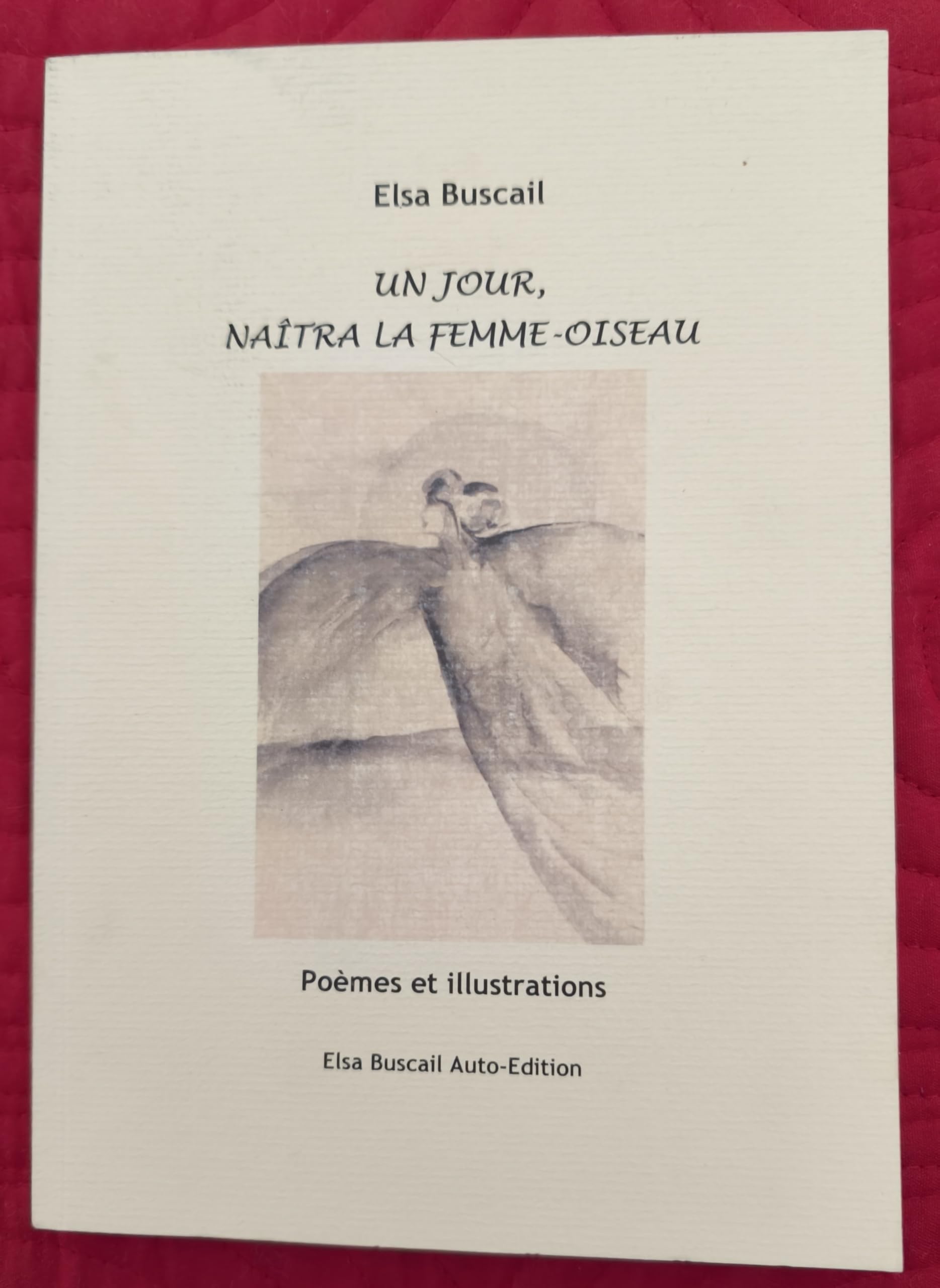 Unjour, naitra la femme-oiseau book