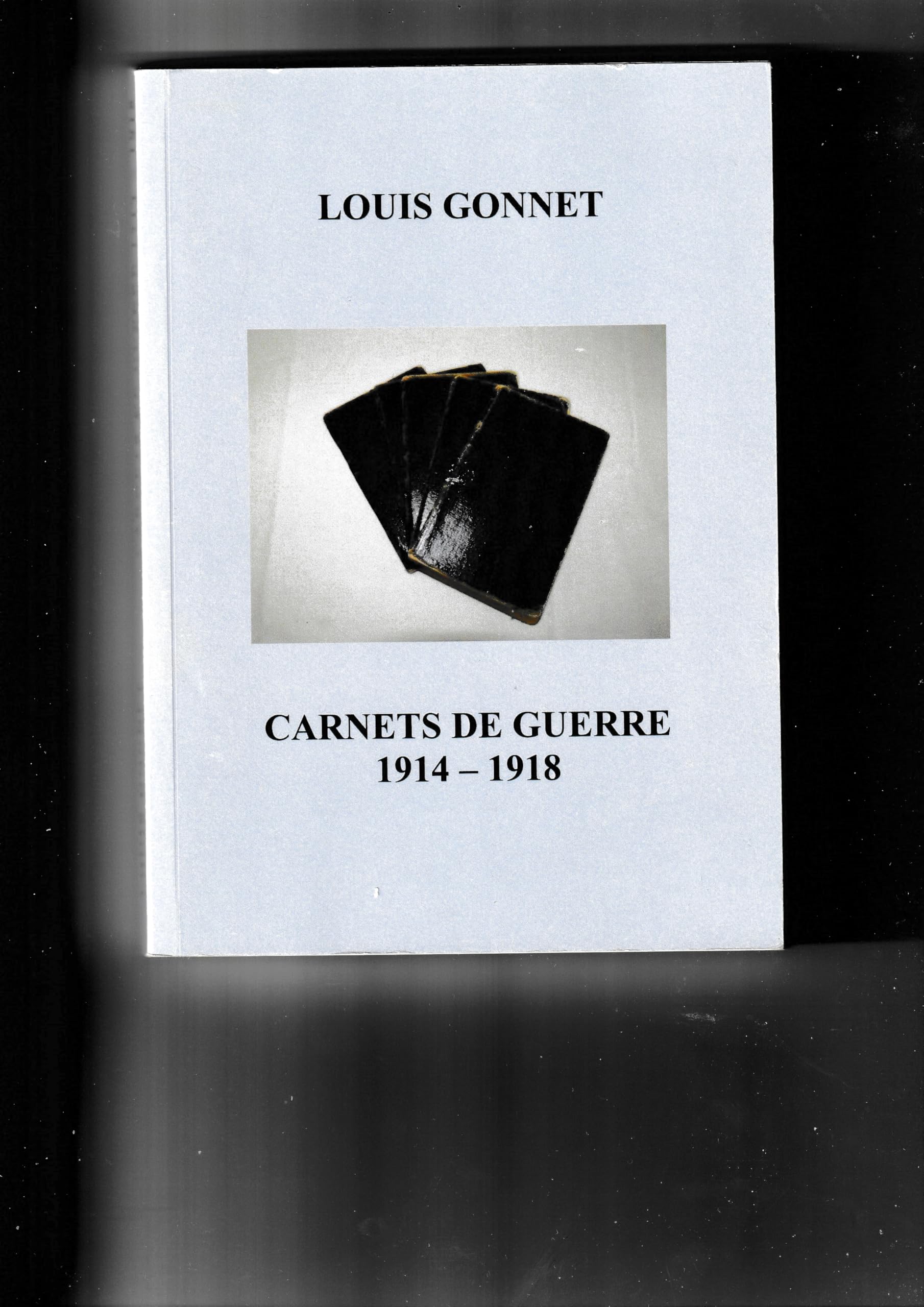 Carnets de guerre 1914-1918, Journal historique de la Première Guerre mondiale book
