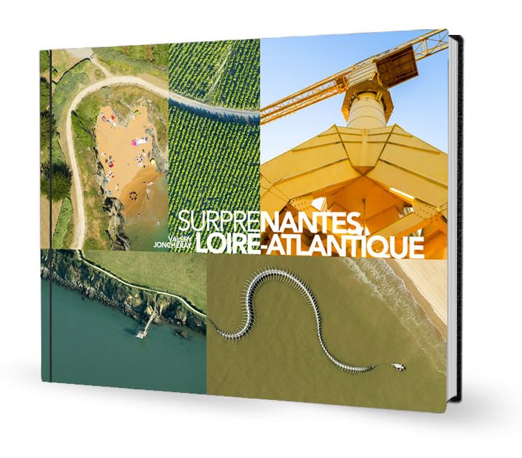 SurpreNantes Loire-Atlantique Film, Art & Culture