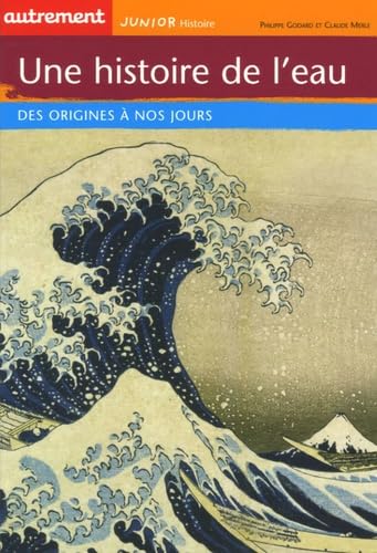 Une histoire de l'eau: Des origines à nos jours Books