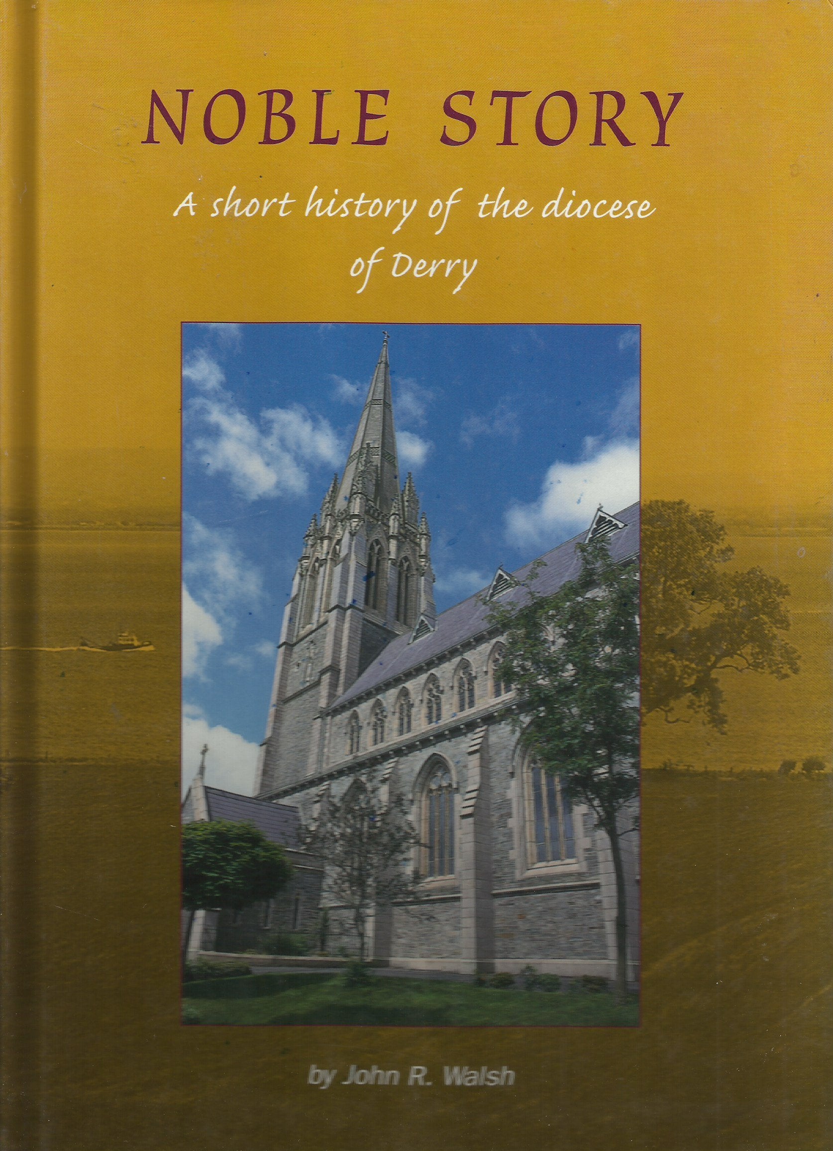 Noble Story: A Short History of the Diocese of Derry (N Ireland) Books