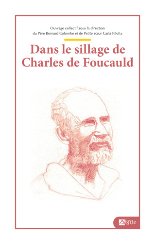 Dans le sillage de Charles de Foucauld book