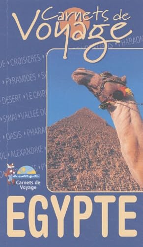 EGYPTE CARNET DE VOYAGE 2003 PETIT FUTE Leisure, Home & Garden