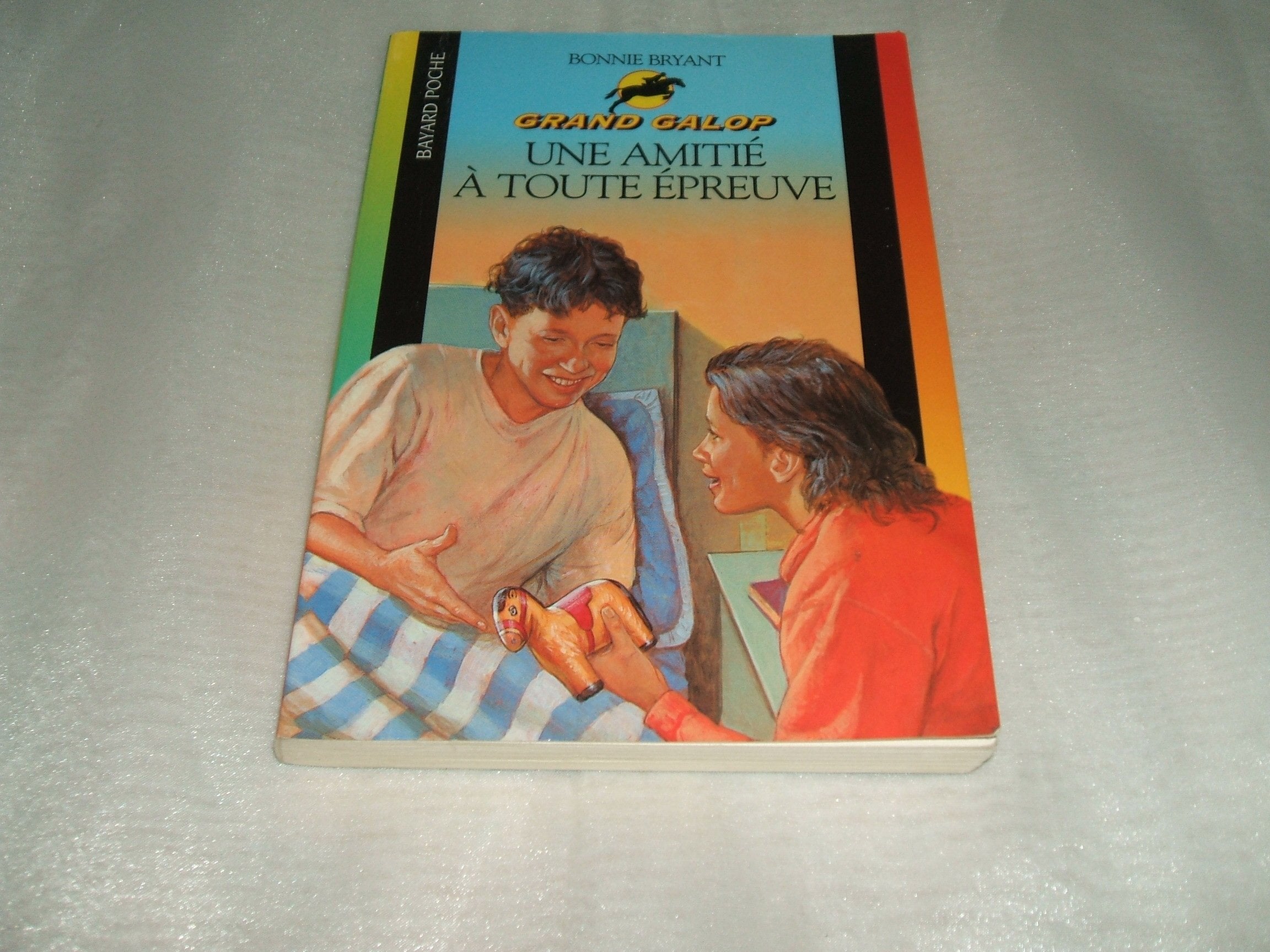 Une Amitie A Toute Epreuve book