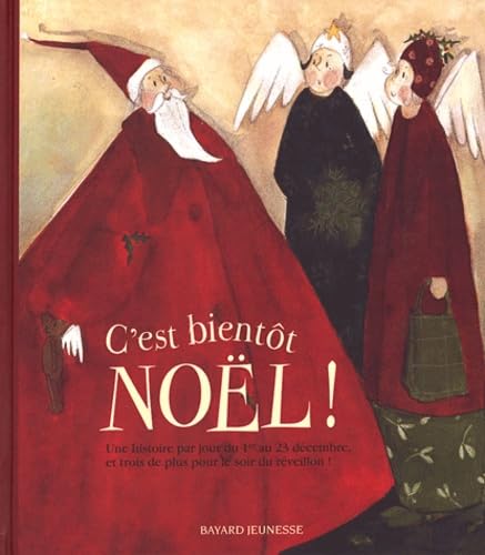 C'est bientôt Noël : Une histoire par jour du 1er au 23 décembre, et trois de plus pour le soir du réveillon ! book