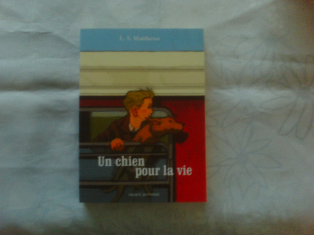 Un chien pour la vie: Ou l'histoire d'un voyage inoubliable book