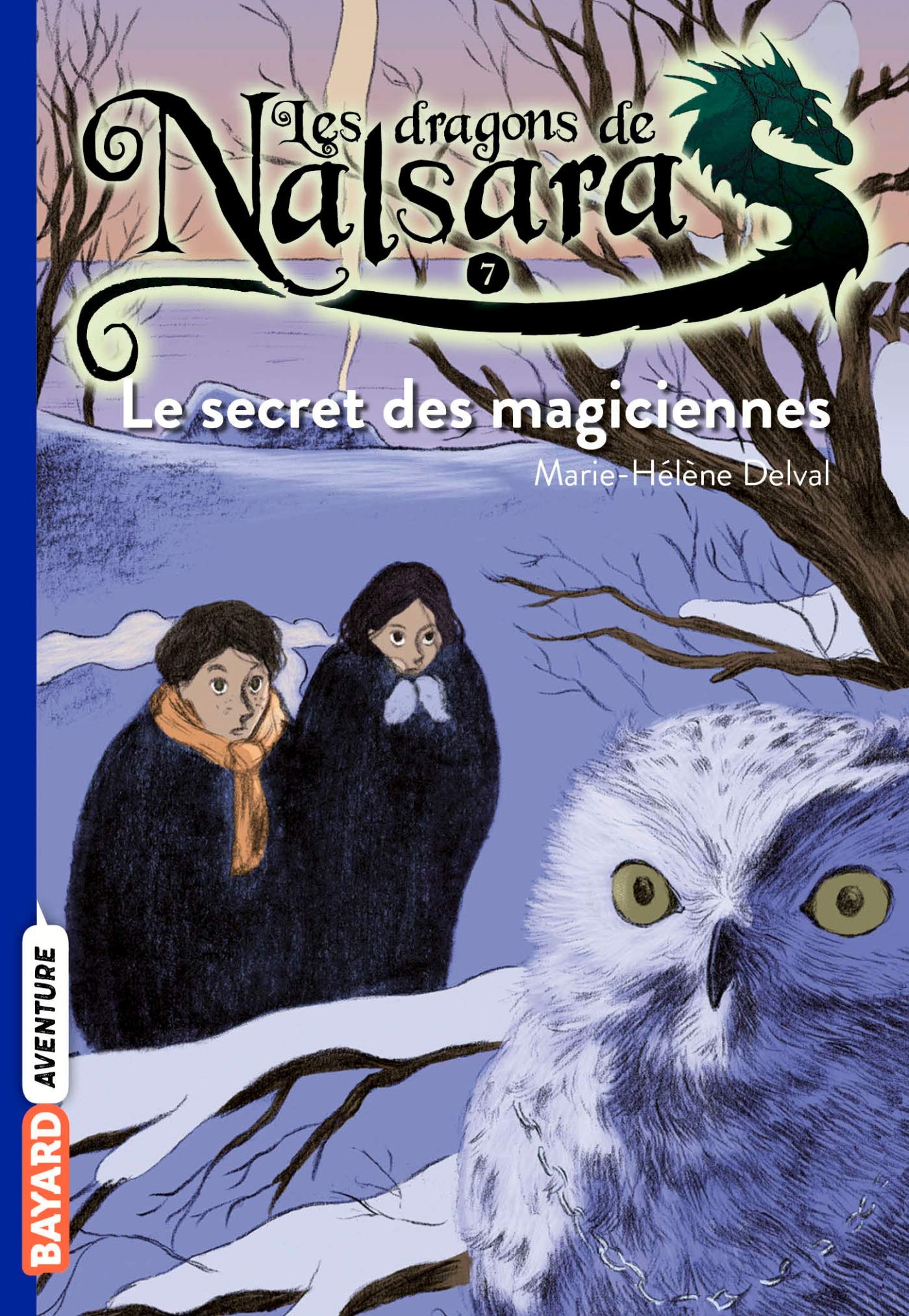 Les dragons de Nalsara: Le secret des magiciennes Contemporary literature