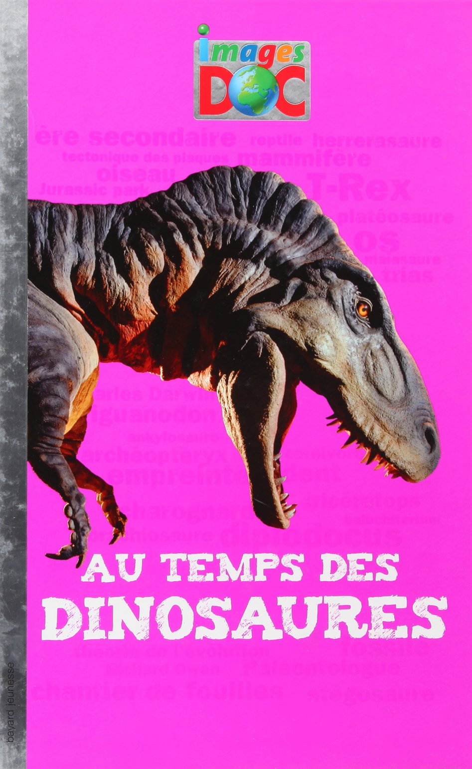 Au temps des dinosaures book
