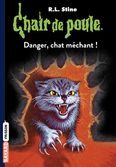 Product Image: Danger, chat méchant !