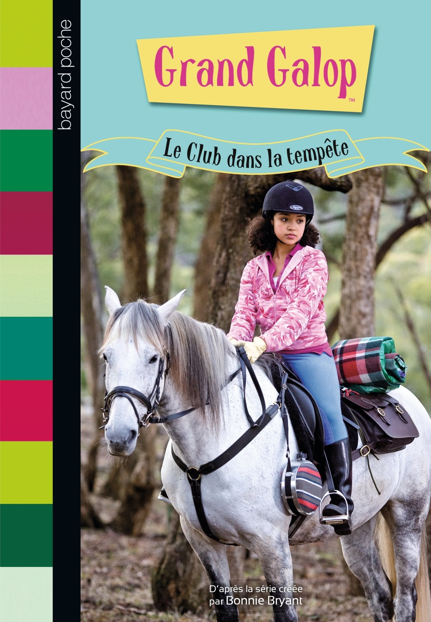 Le Club dans la tempête book