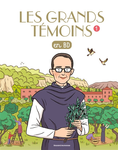 Product Image: Les grands témoins en BD