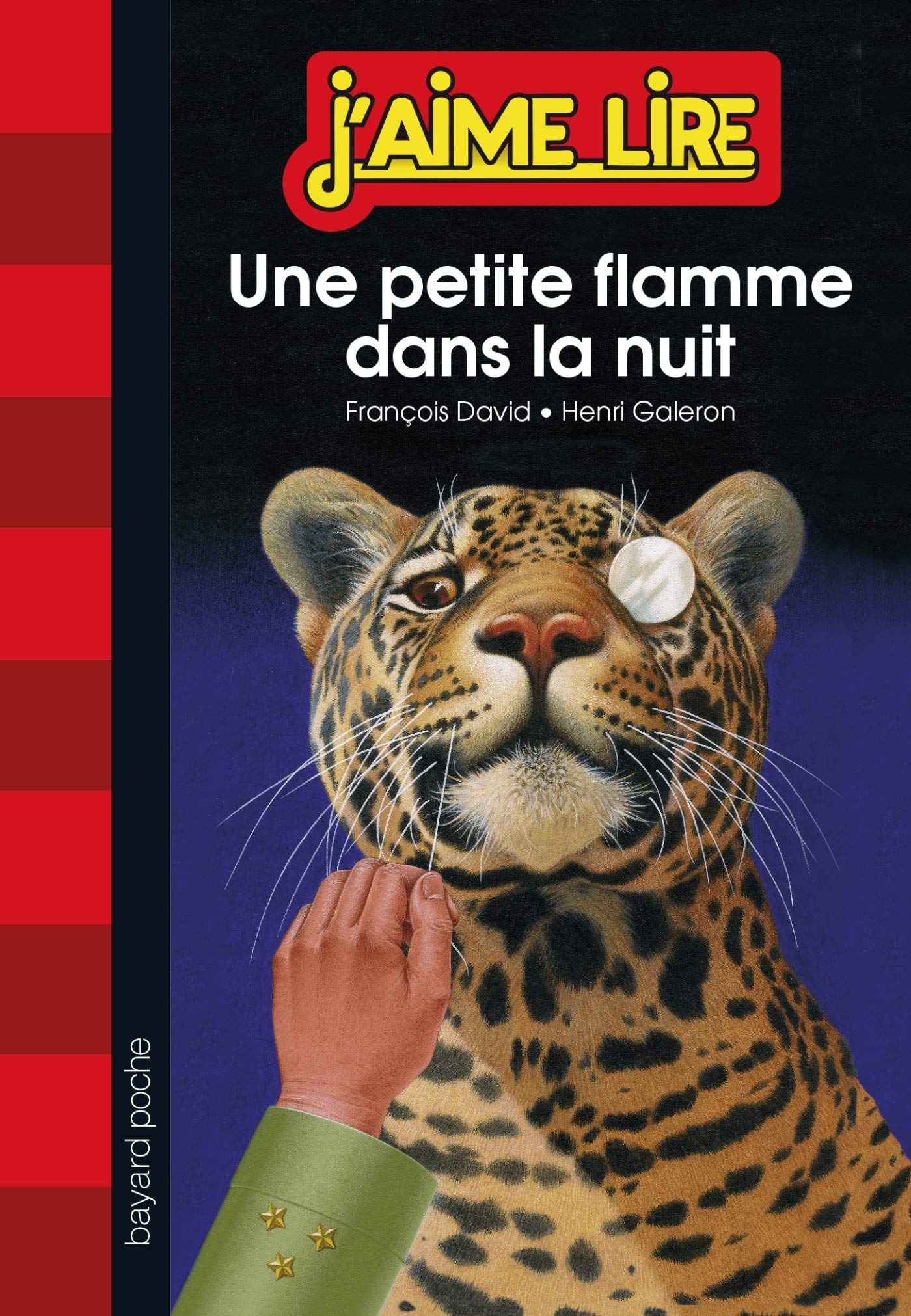Une petite flamme dans la nuit book