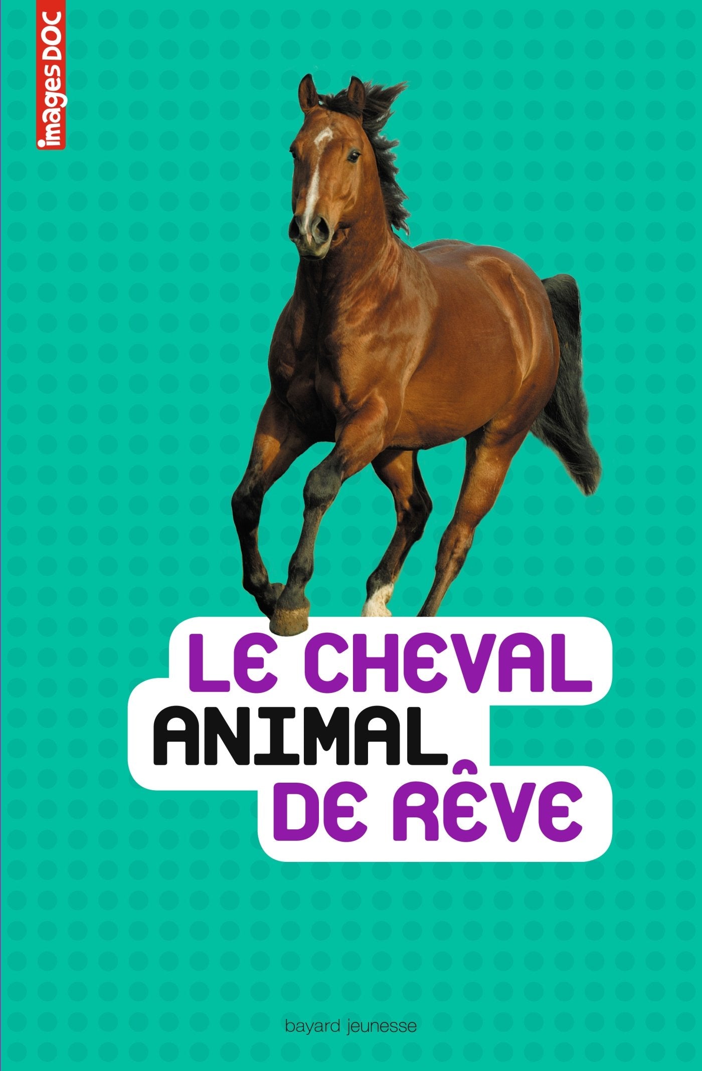 Le cheval, animal de rêve Books