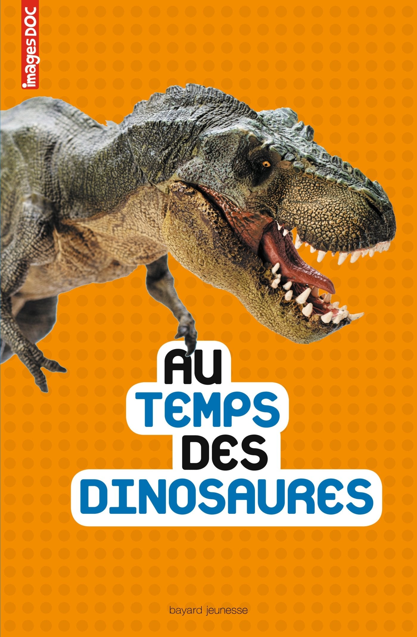 Au temps des dinosaures book