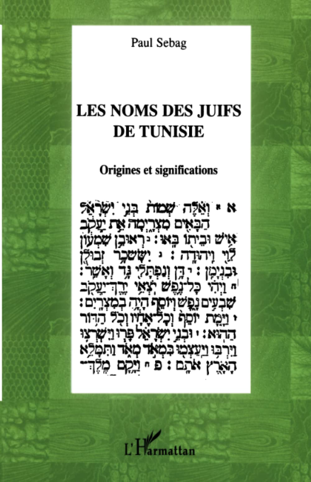 LES NOMS DES JUIFS DE TUNISIE: Origines et significations book