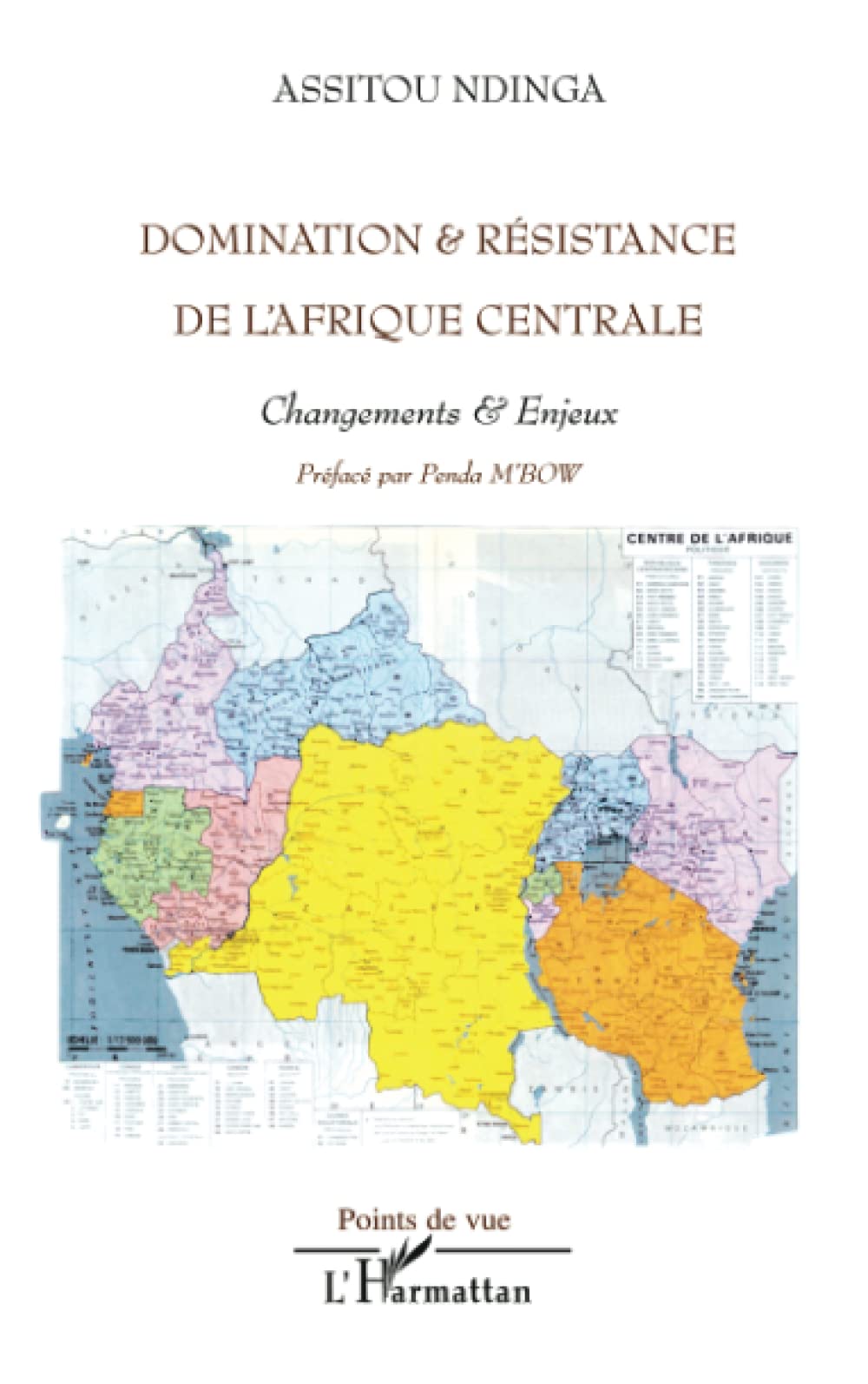 DOMINATION ET RESISTANCE DE L' AFRIQUE CENTRALE: Changements et Enjeux book