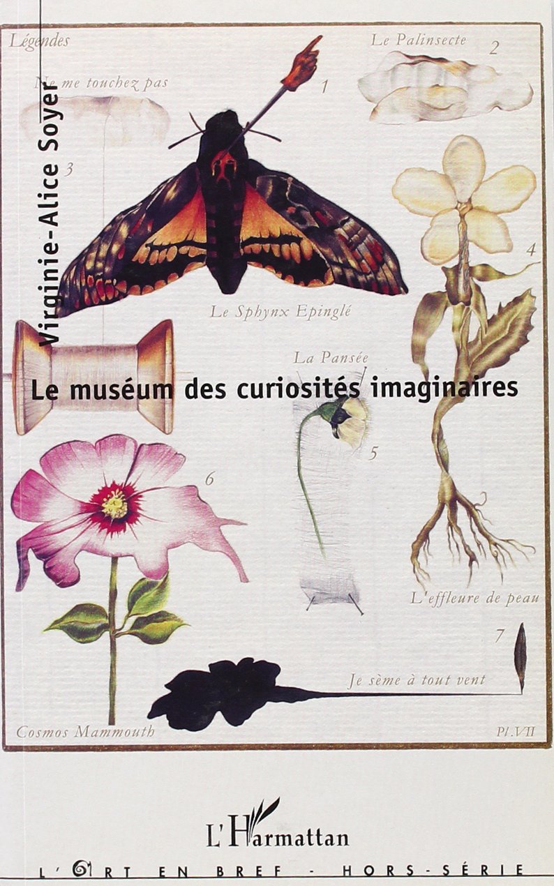 Museum des Curiosites Imaginaires book