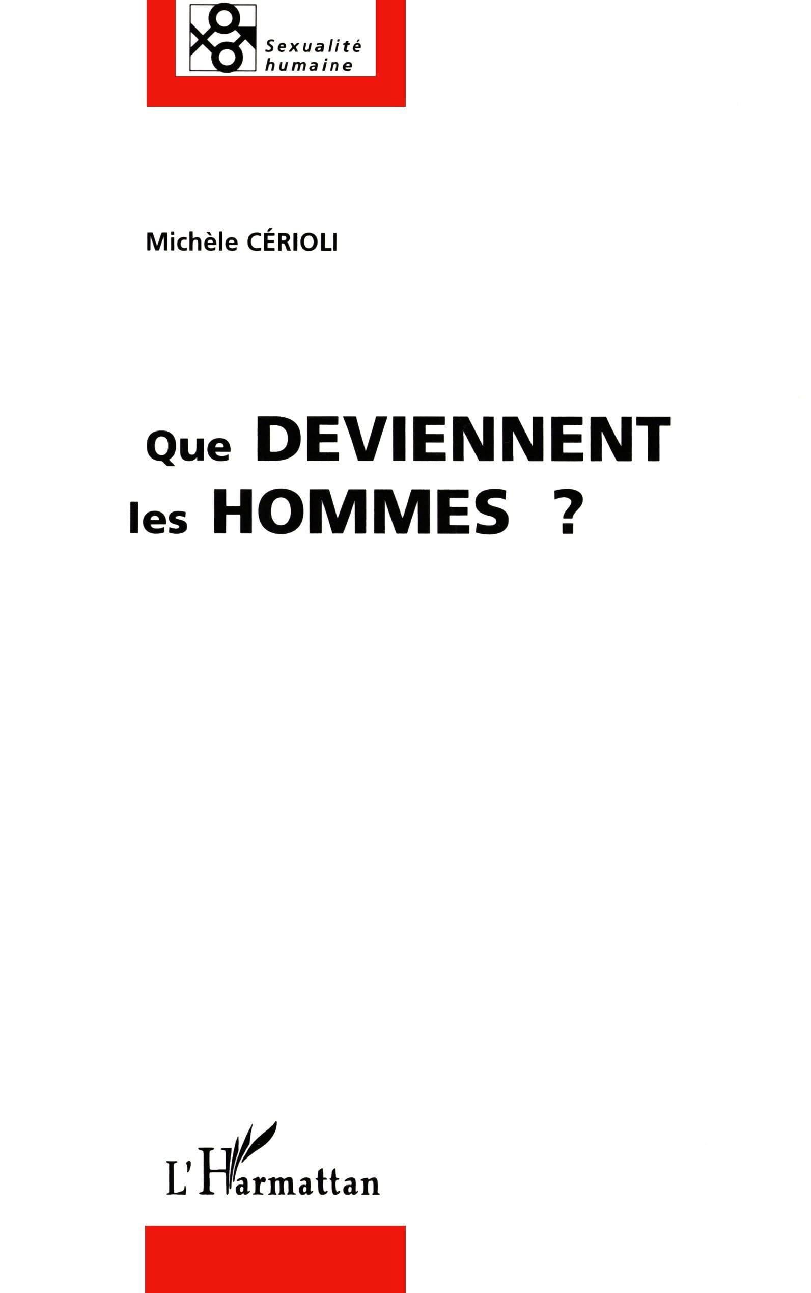 Que deviennent les hommes ? : nouvelles inegalites sexuelles book