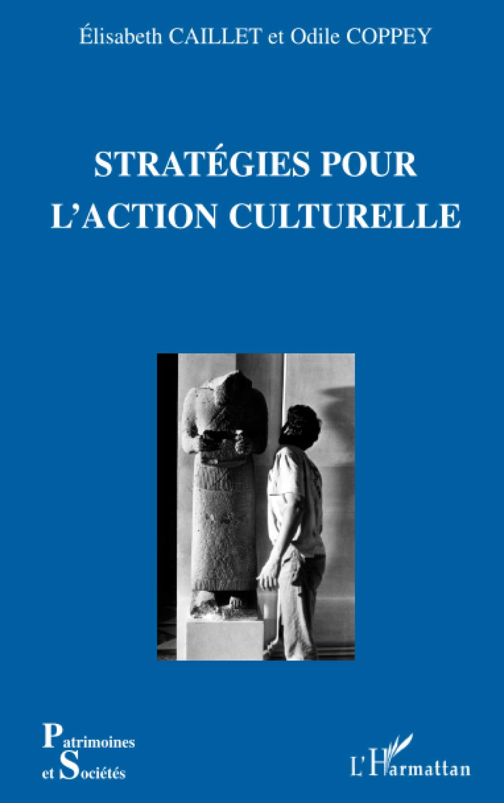 Stratégies pour l'action culturelle Film, Art & Culture