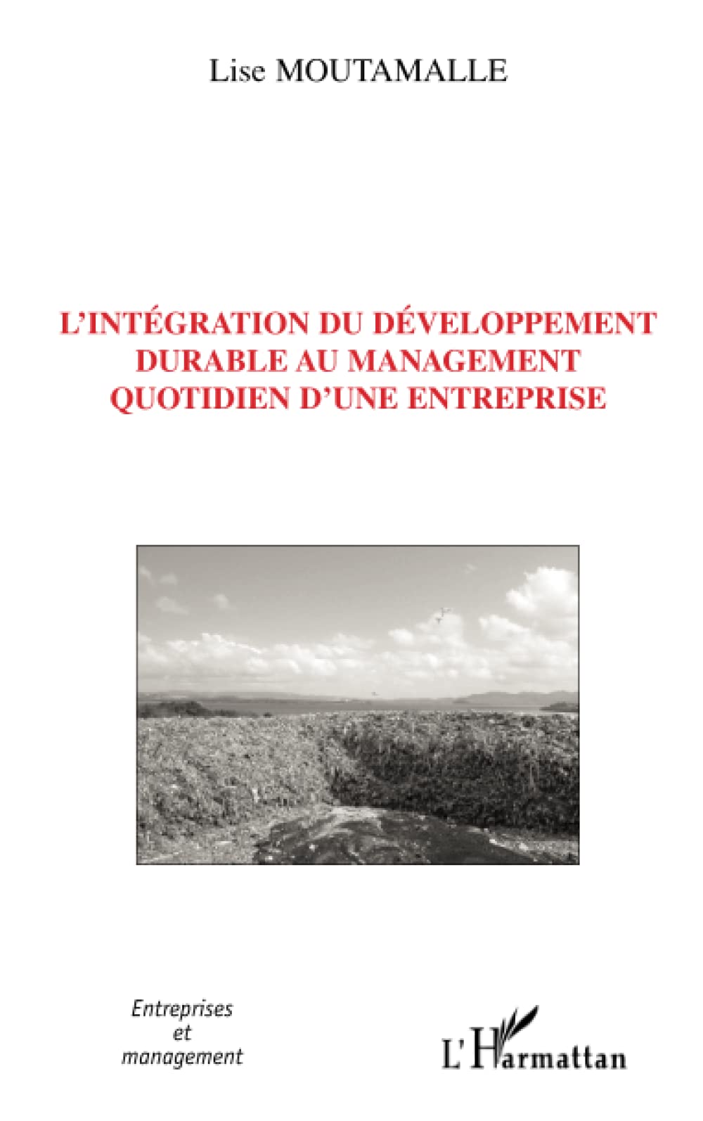 L'intégration du développement durable au management quotidien d'une entreprise Law