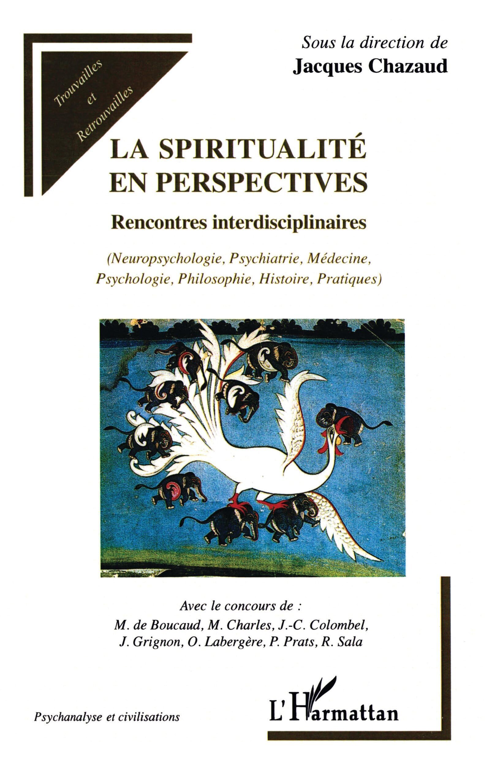 La spiritualité en perspectives: Rencontres interdisciplinaires (Neuropsychologie, Psychiatrie, Médecine, Psychologie, Philosophie, Histoire, Pratiques) book
