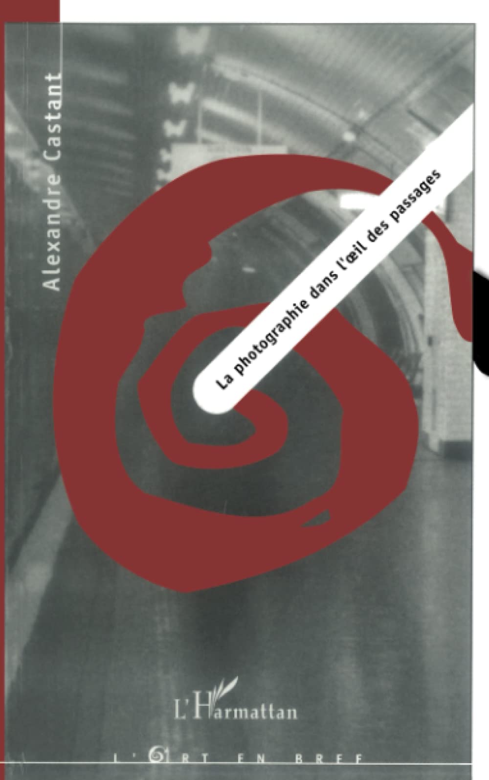 La photographie dans l'œil des passages book