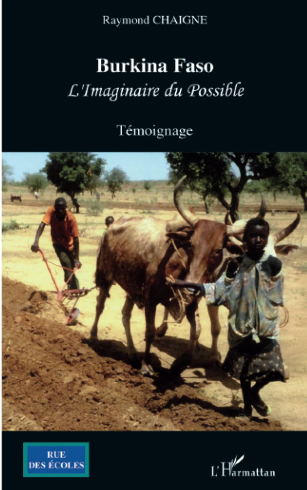 Burkina Faso: L'imaginaire du possible book