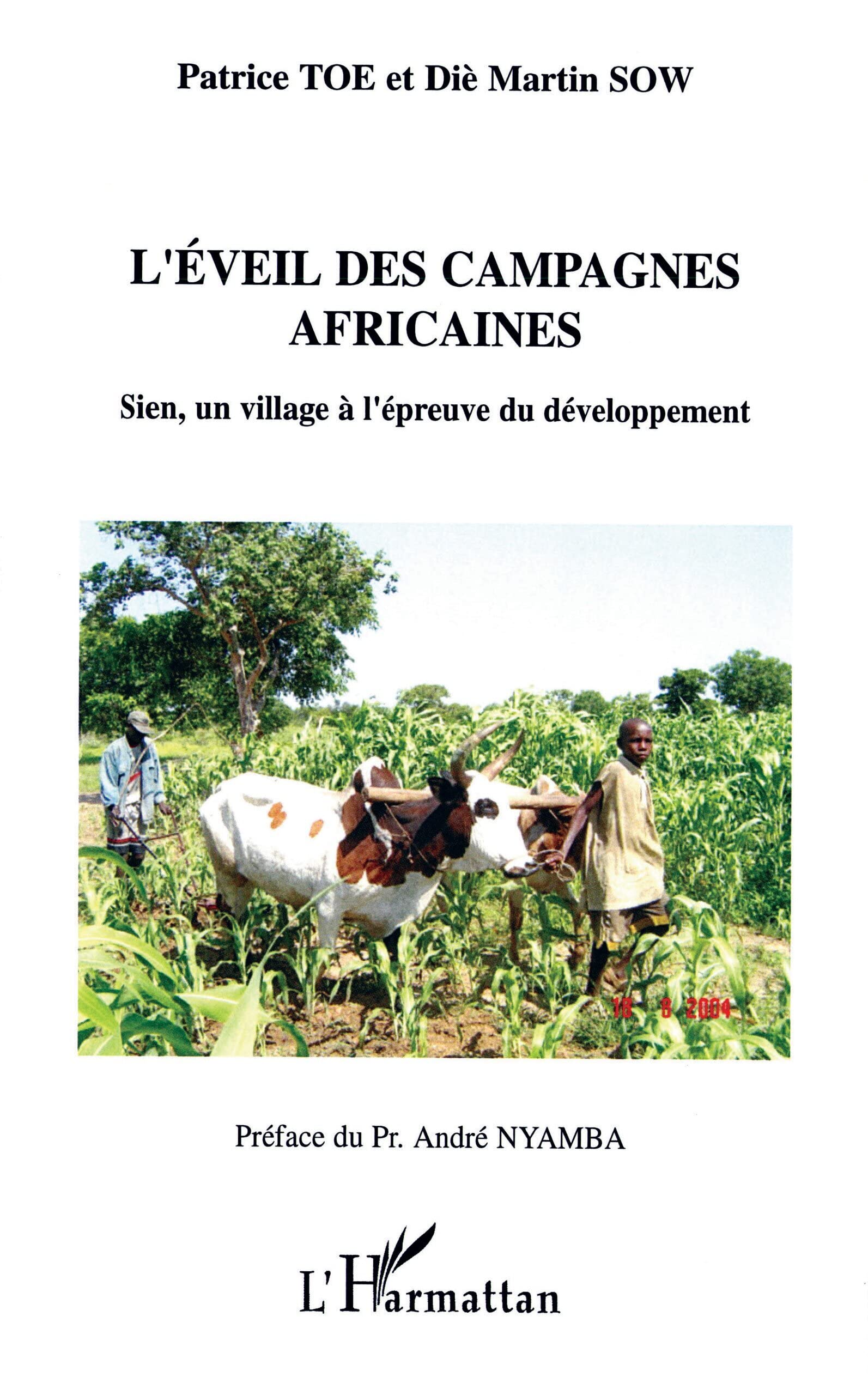 L'éveil des campagnes africaines : Sien, un village à l'épreuve du développement book